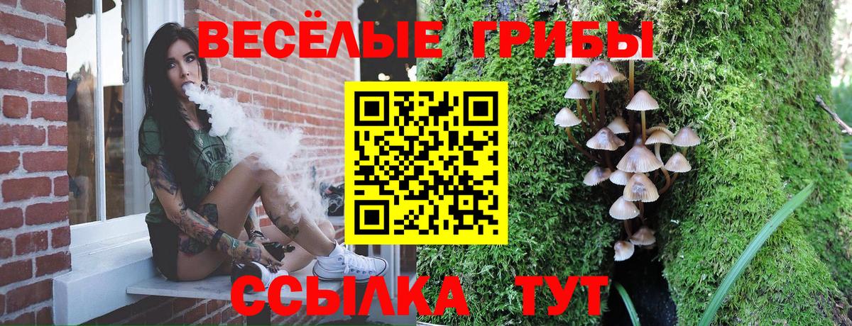Псилоцибиновые грибы GOLDEN TEACHER Чапаевск