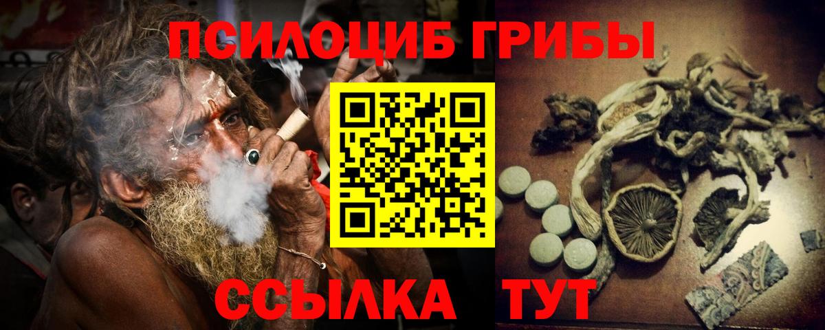 Псилоцибиновые грибы GOLDEN TEACHER  Вход с VPN  Чапаевск 